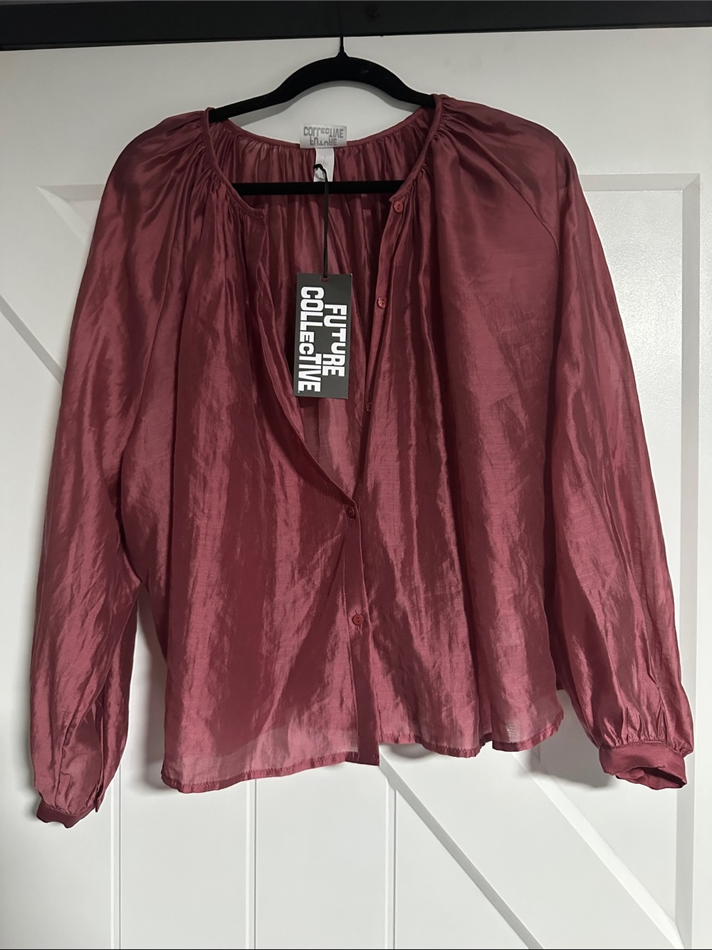 Future Collective Dusty Rose Button-Down Sheer Blouse